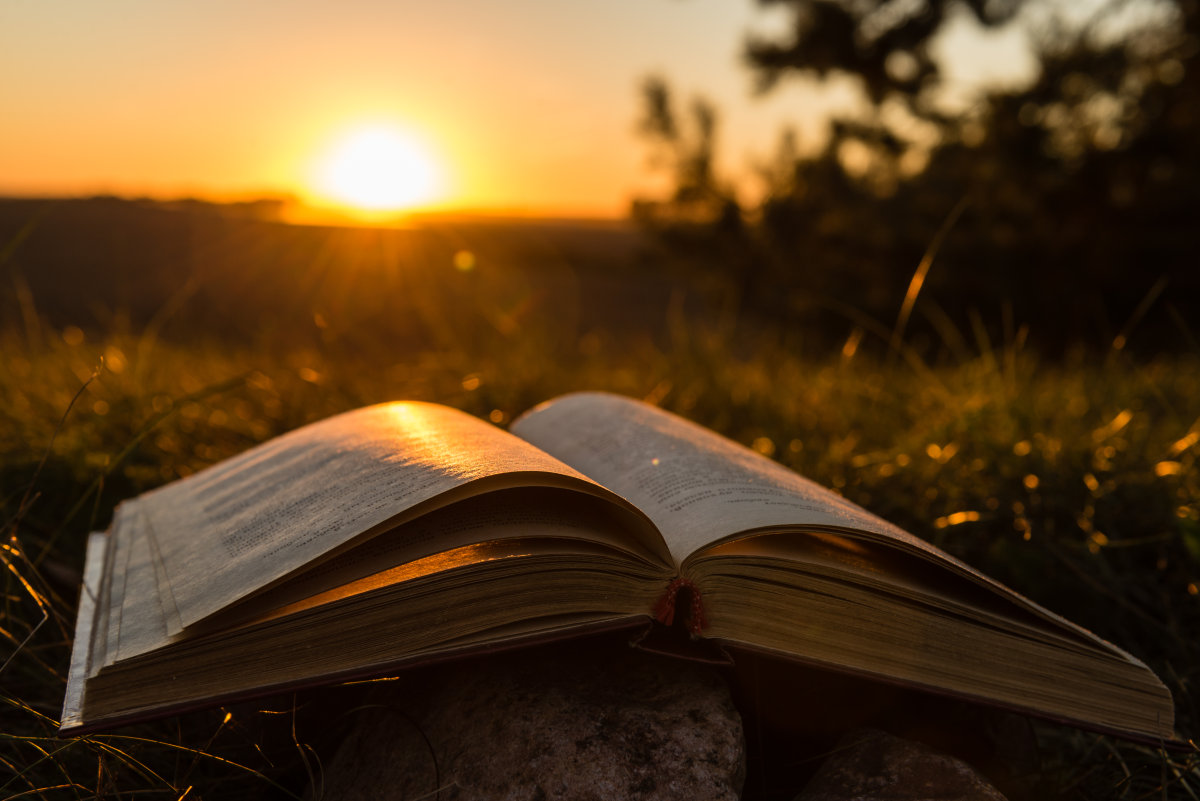 深圳新航道,托福口语