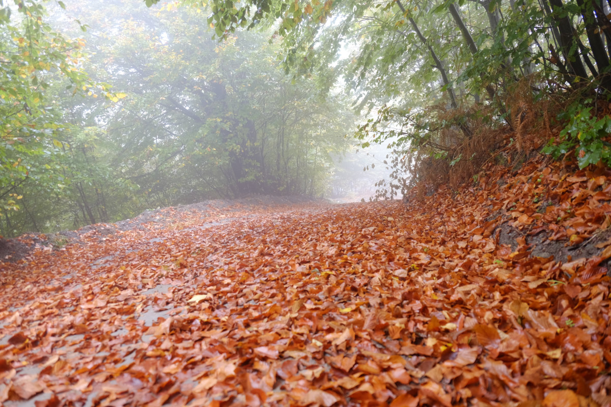新航道雅思口语